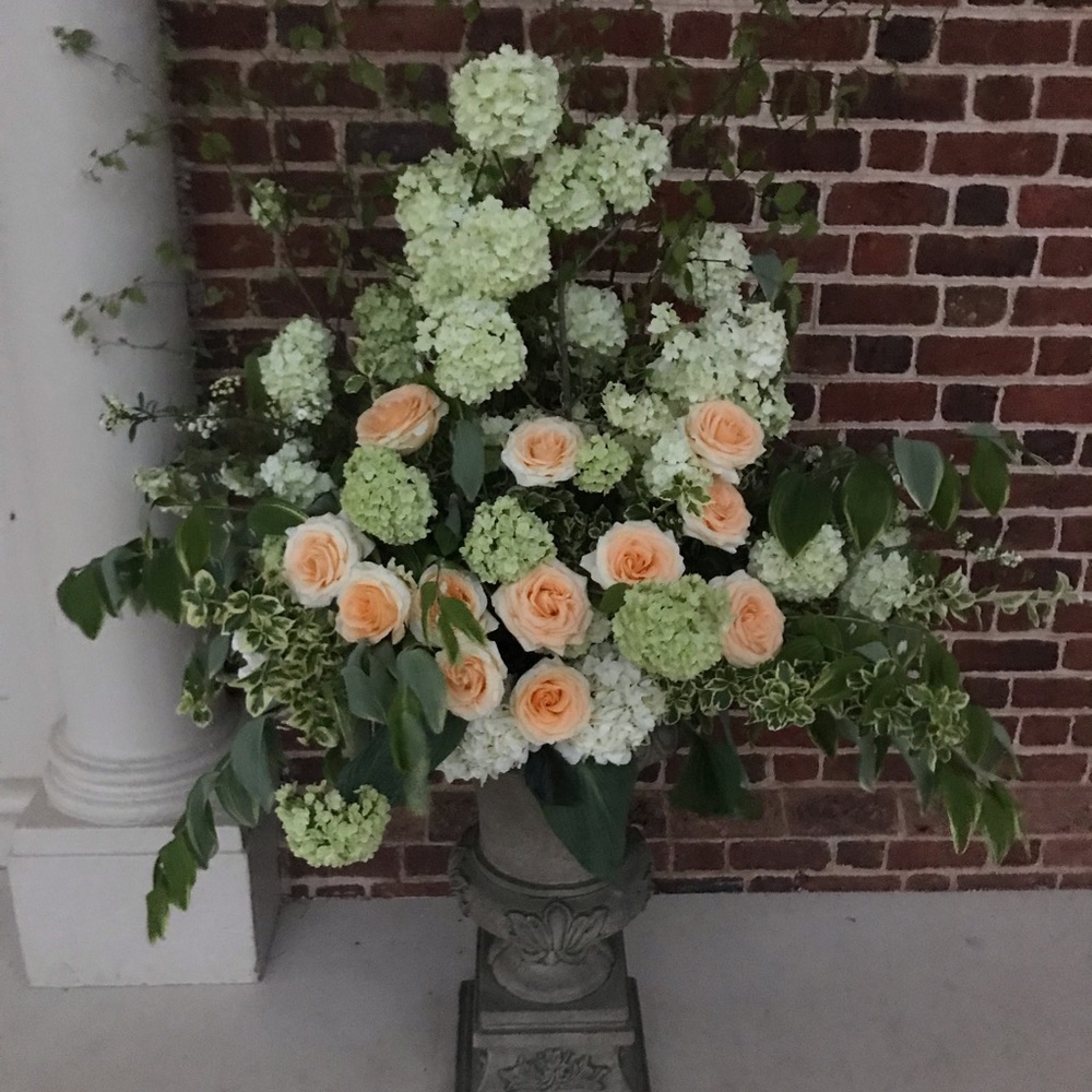 Meet your Posher, Jen